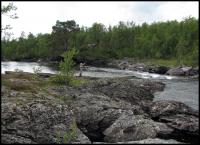 Bifogad bild: norge2010augusti779.jpg